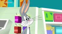 Looney Tunes Show  6tjf1bv7b1f1_t